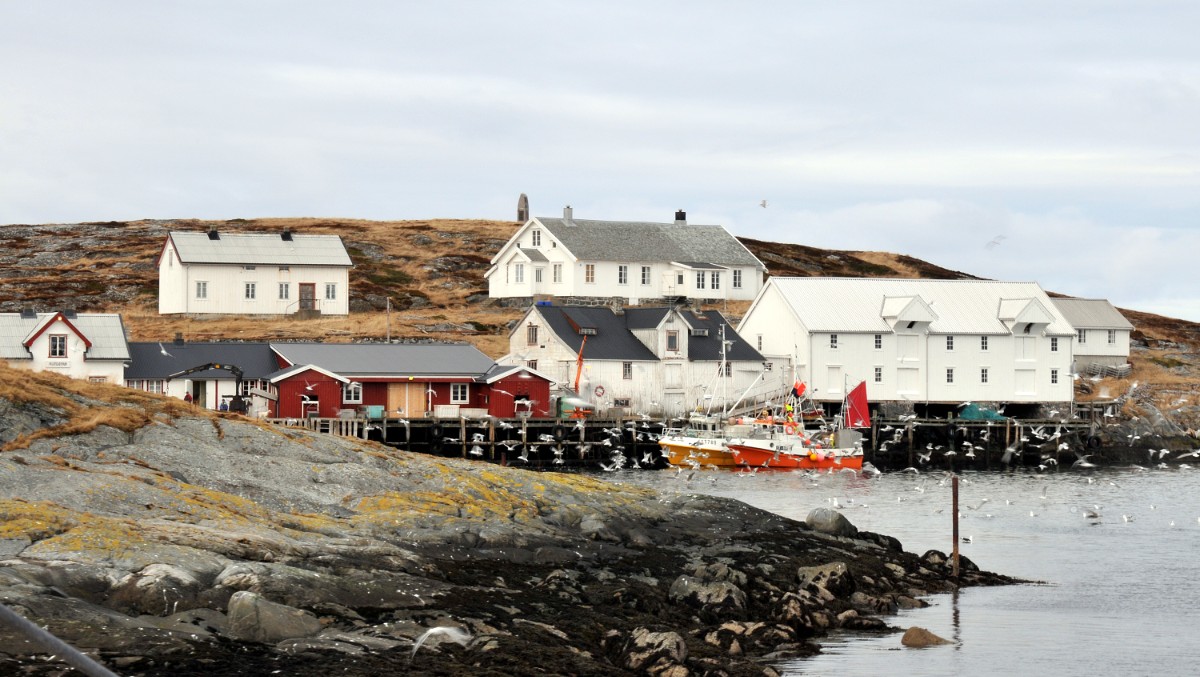 Nordøyan