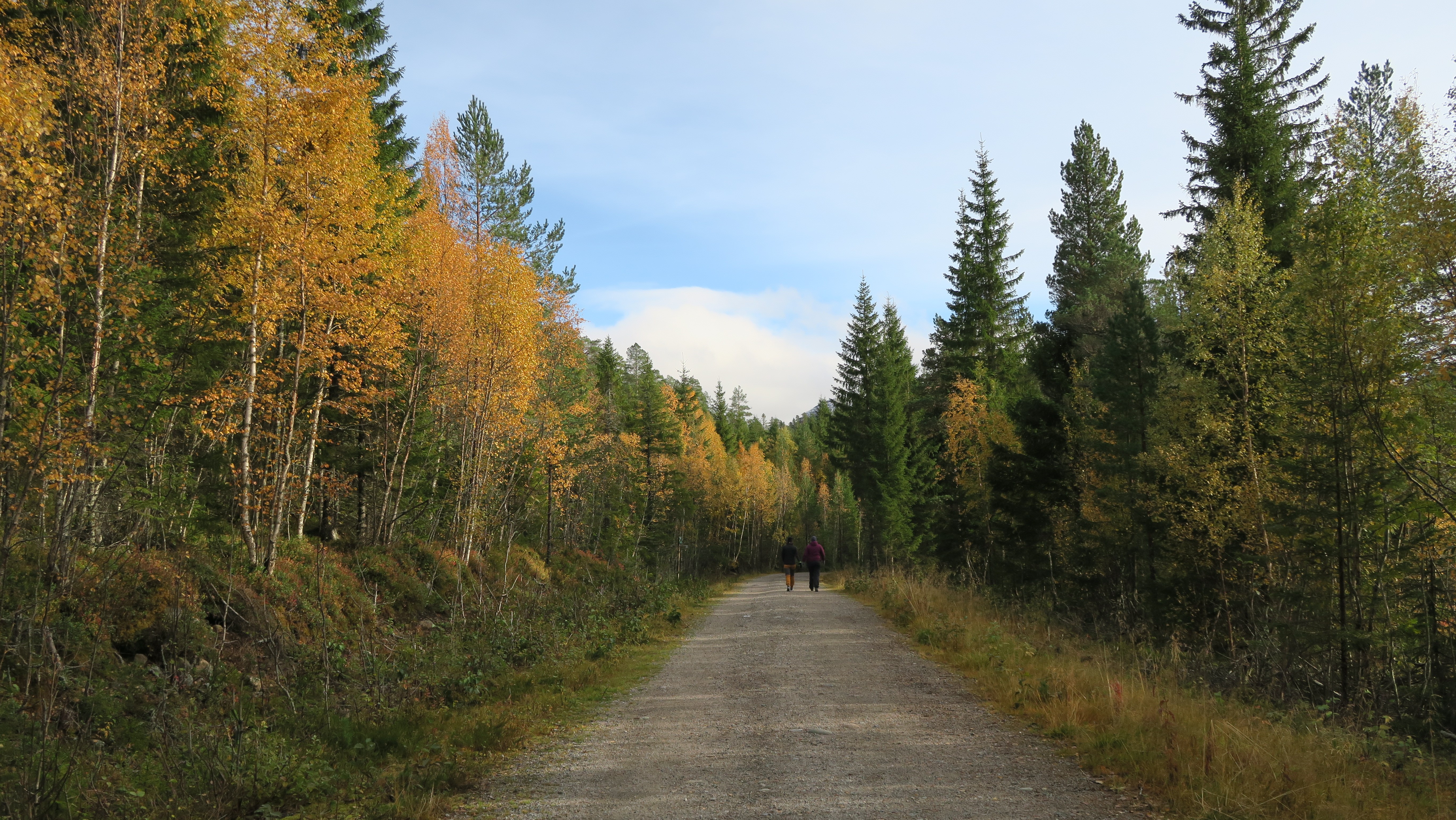 Spillumsmarka, vei opp mot Spillumsaksla og Spillumsfjellet