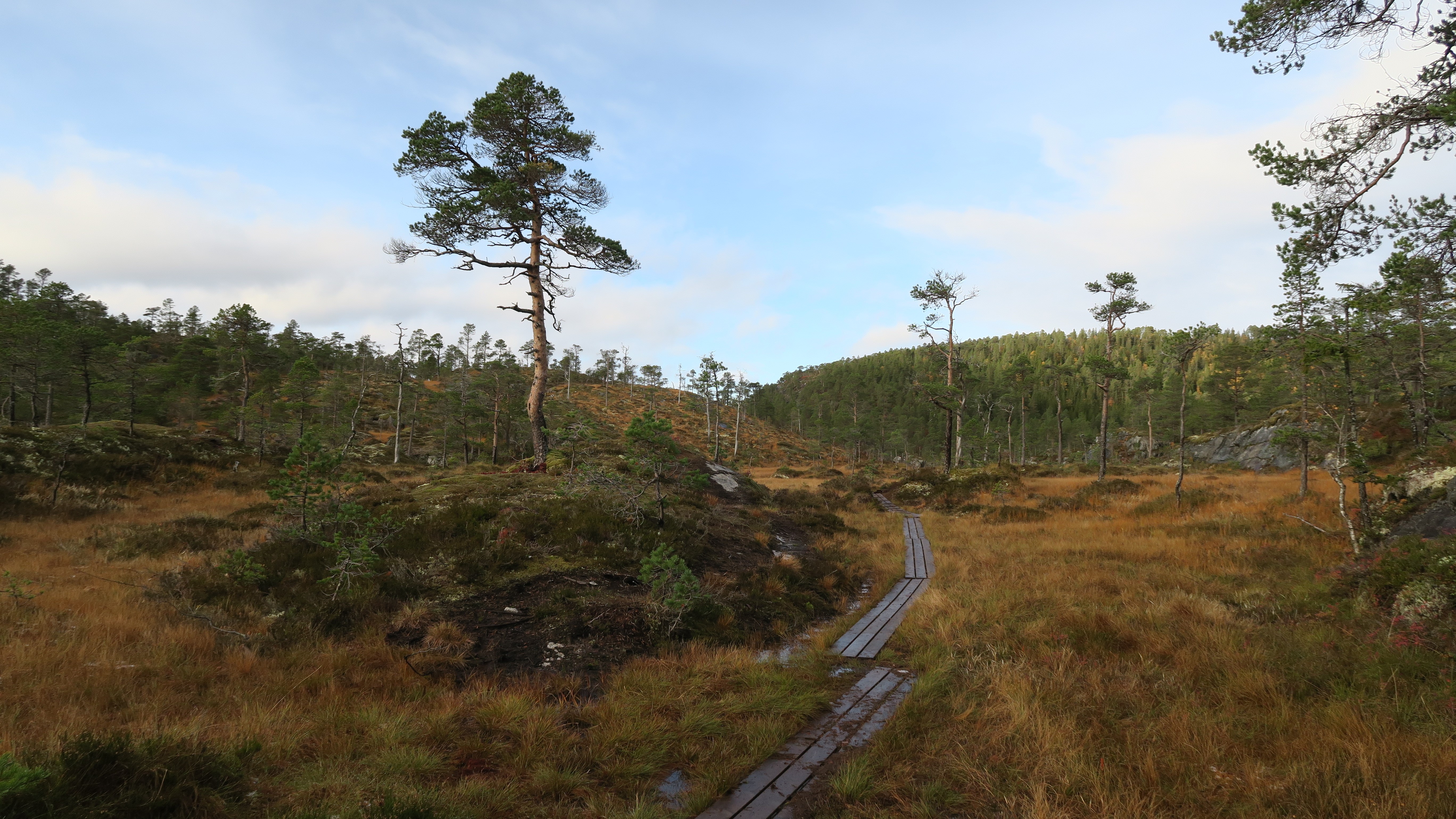 Klopper på tur til Spillumsaksla i Spillumsmarka, Namsos.