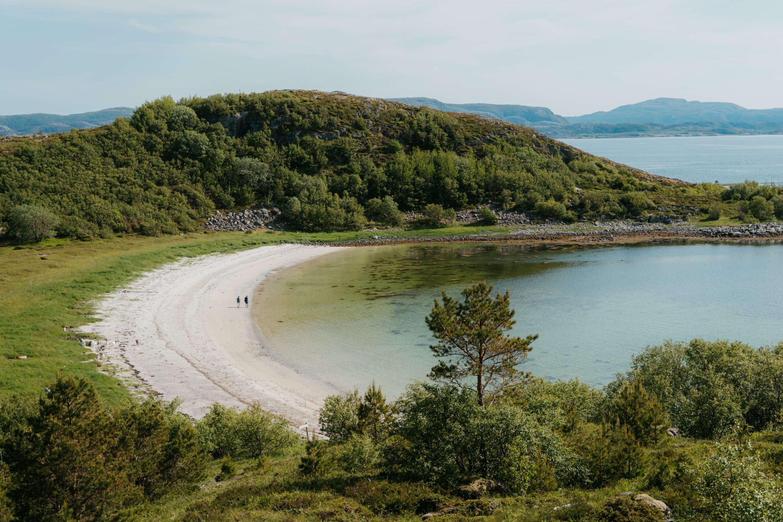 Kjeksvika i Nærøysund. Hvit sandstrand sett på avstand, omgitt av grønt gress og grønn skog. Foto: Ellen Homstad / Explore Trøndelag