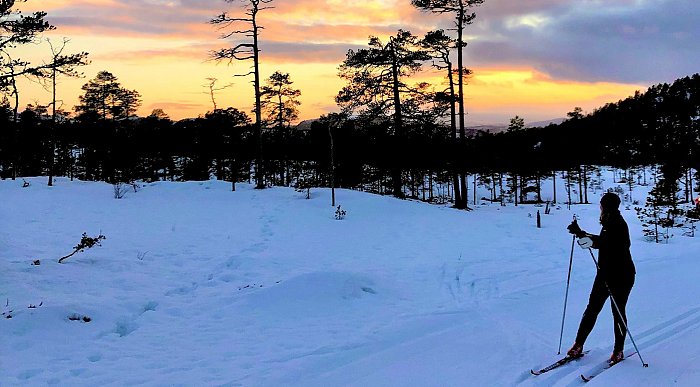 Ski og vinterlys i Namdalen, Trøndelag. Foto: Bente Snilldal