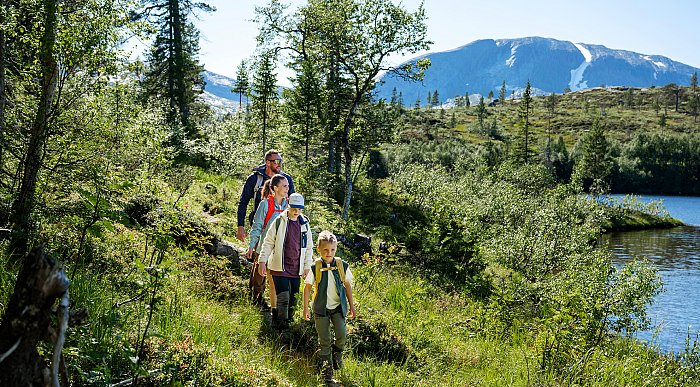 Til fots i Namsskogan, på fottur i Namdalen. Foto: Marius Rua / Visit Namdalen