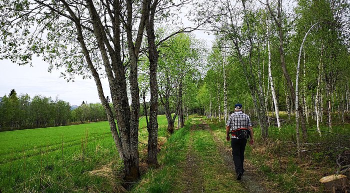 Fottur, en ting å gjøre i Grong.Foto: Inger Helland