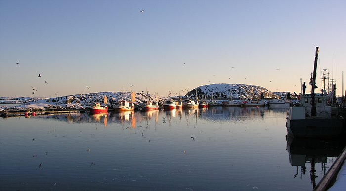 Båter til kai ved Vandsøya i VIkna, Namdalen, Namdalskyten, Trøndelag. Gjestehavn. Foto: Anne Grete Walaunet.
