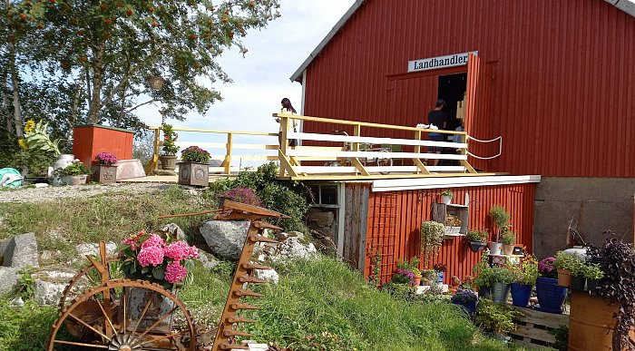 7 gårdsbutikker og landhandleri du burde besøke i Namdalen